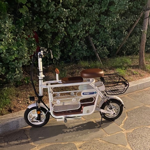전동스쿠터